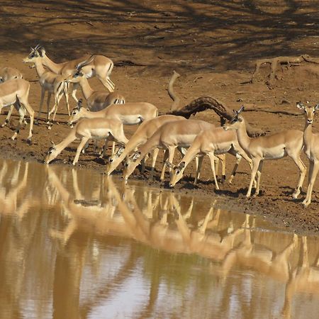Sable Creek Safari Lodge Tzaneen Buitenkant foto