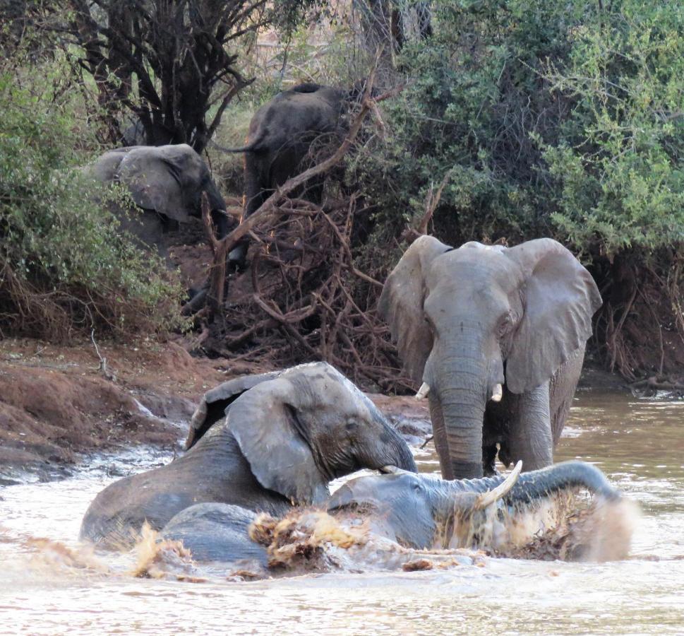 Sable Creek Safari Lodge Tzaneen Buitenkant foto