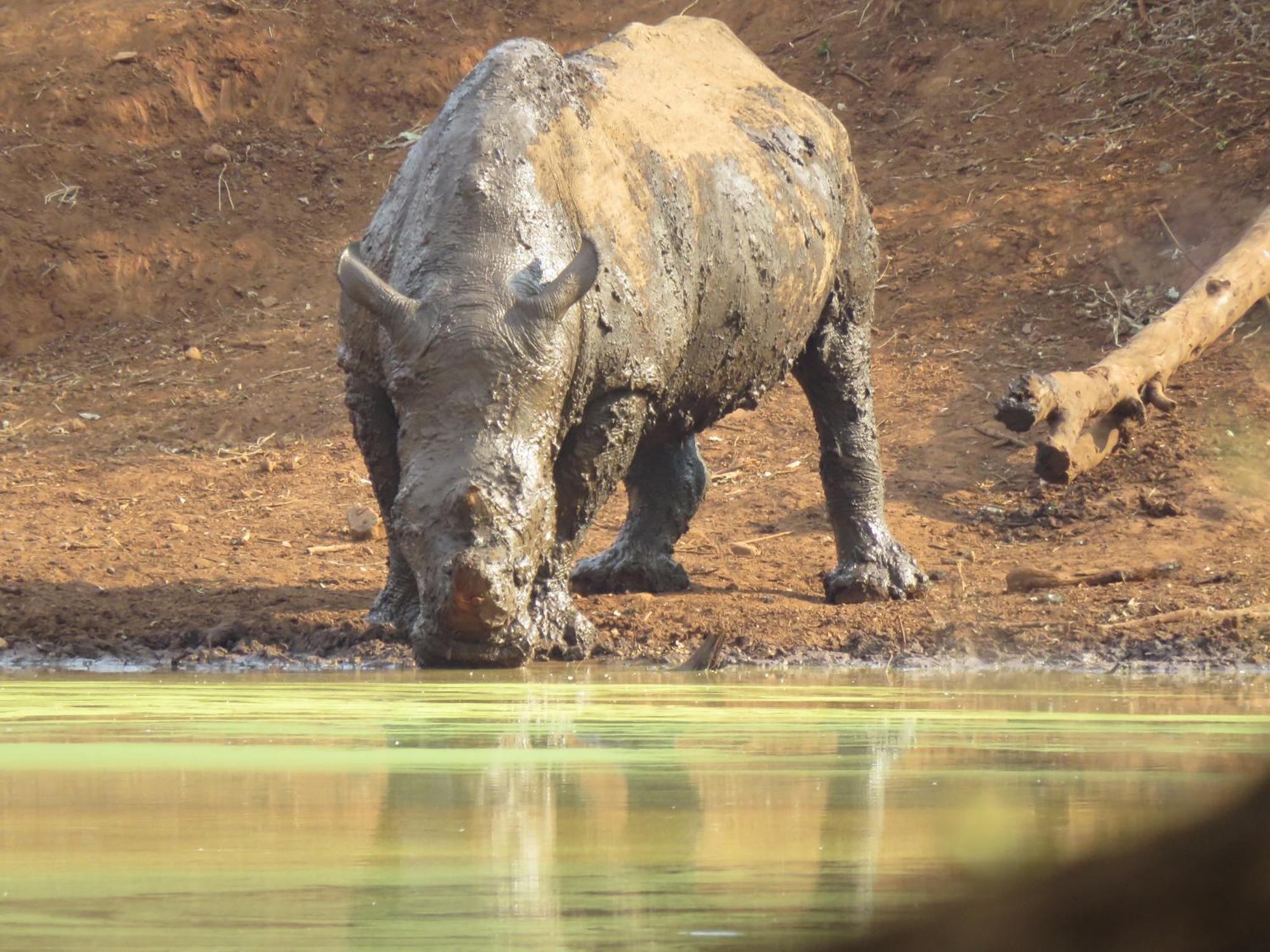 Sable Creek Safari Lodge Tzaneen Buitenkant foto