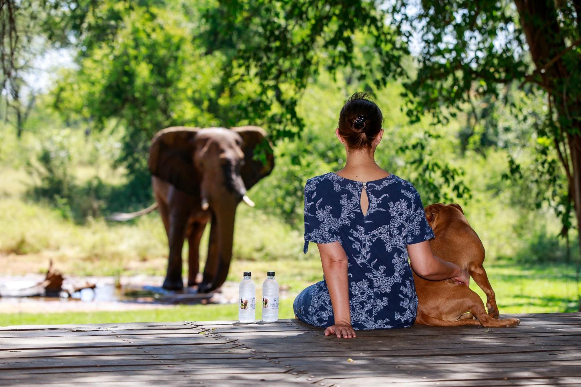 Sable Creek Safari Lodge Tzaneen Buitenkant foto