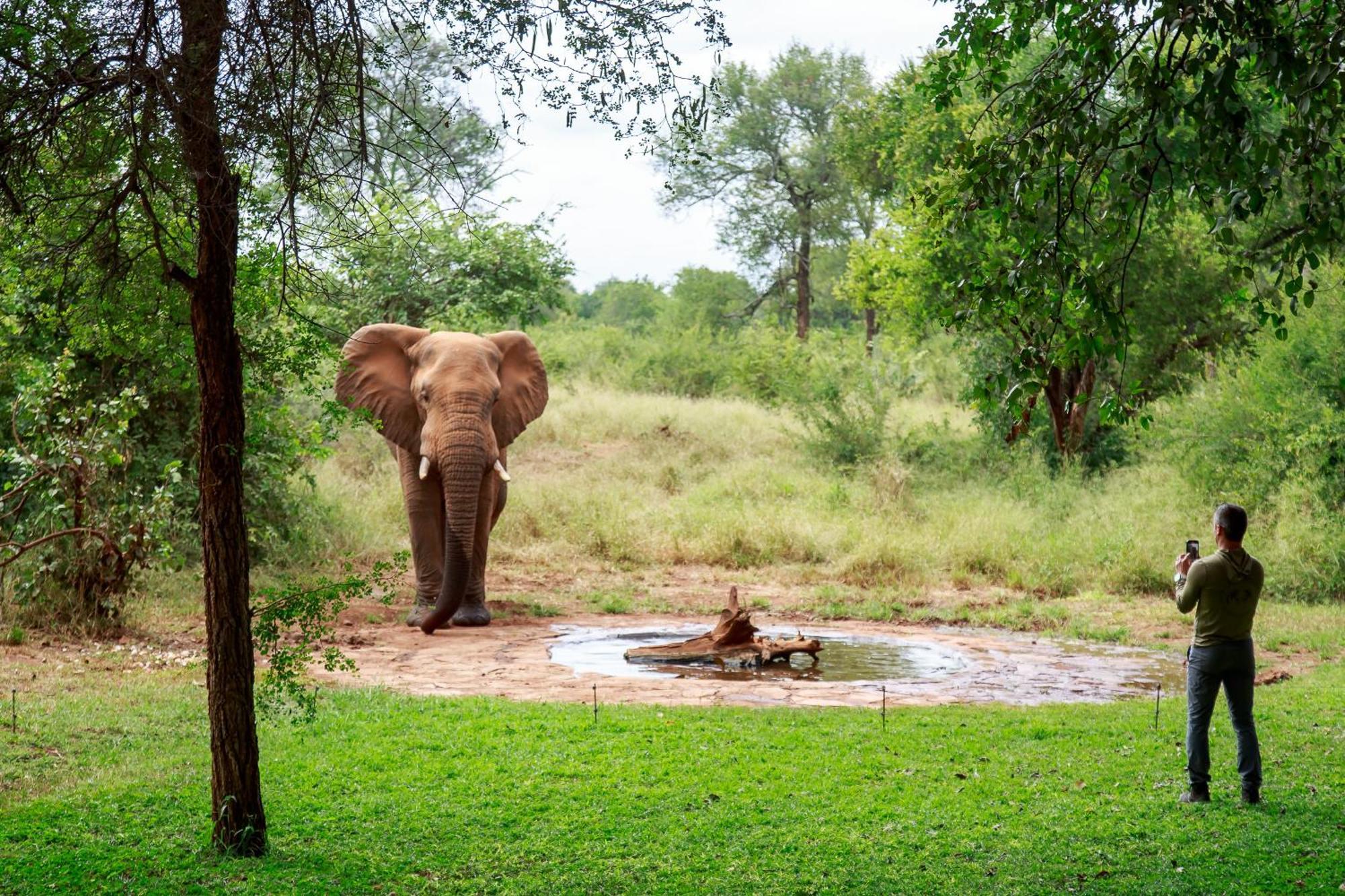 Sable Creek Safari Lodge Tzaneen Buitenkant foto